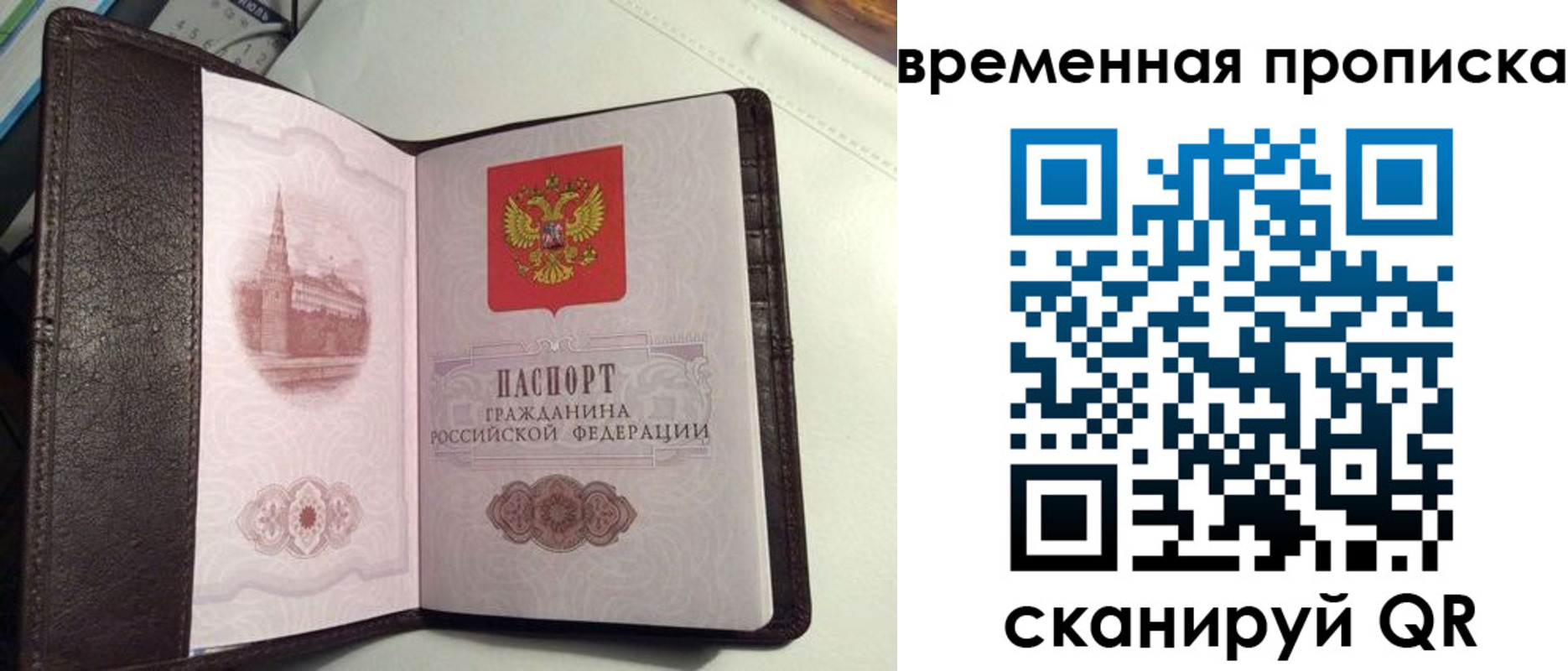 прописка 2025 в Краснодарском крае